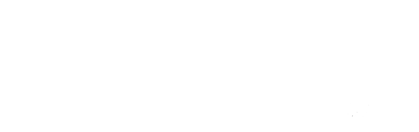Logo BSMART blanco